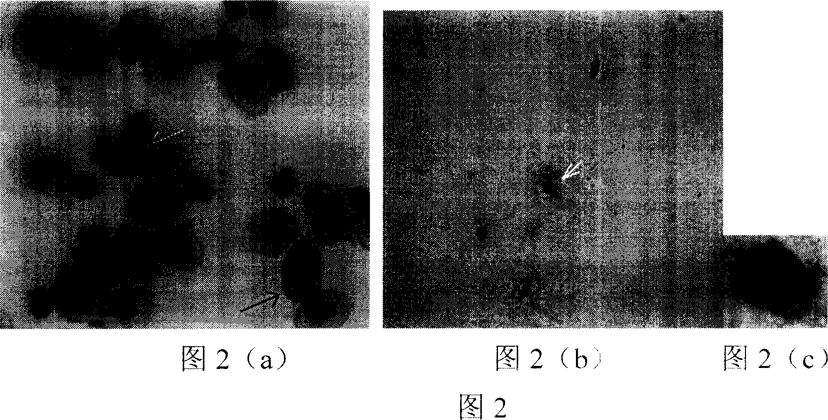 Setting-up method for cell membrance solid phase chromatography model for sieving Chinese medicine platelet aggregation resisting active component