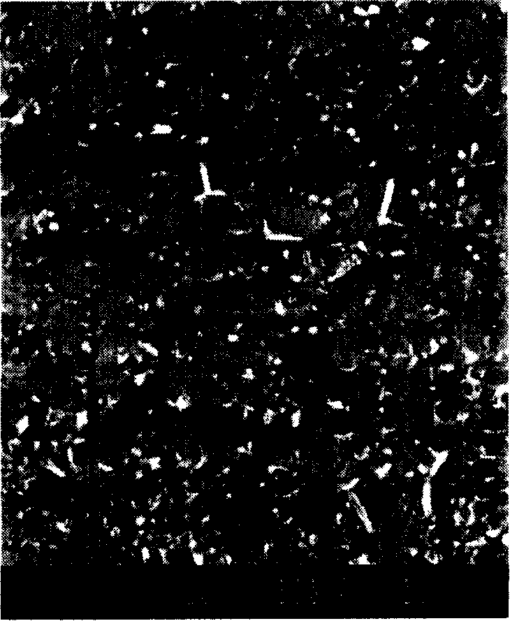 Ni3(Si,Ti)-TiC composite coating material and preparation method thereof