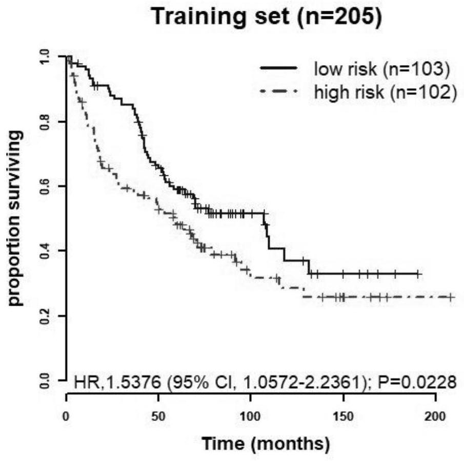 Molecular markers related to the prognosis of non-small cell lung cancer and their application