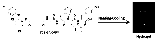 Triclosan-based nano antibiotic hydrogel and preparation method and application thereof