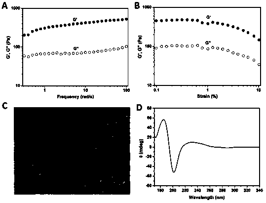 Triclosan-based nano antibiotic hydrogel and preparation method and application thereof