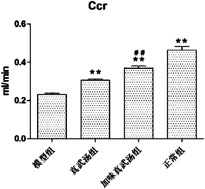 A traditional Chinese medicine composition for treating chronic renal failure and its preparation method