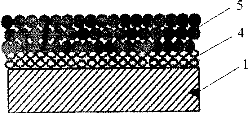 Back electrode in dye-sensitized battery structure and preparation method thereof