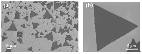 Surface-enhanced Raman scattering substrate and preparation method thereof