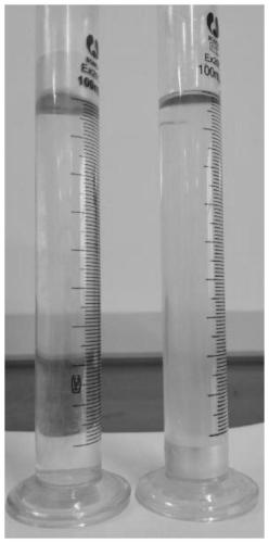 Modified pearlescent pigment, preparation method and application thereof, plastic and coating