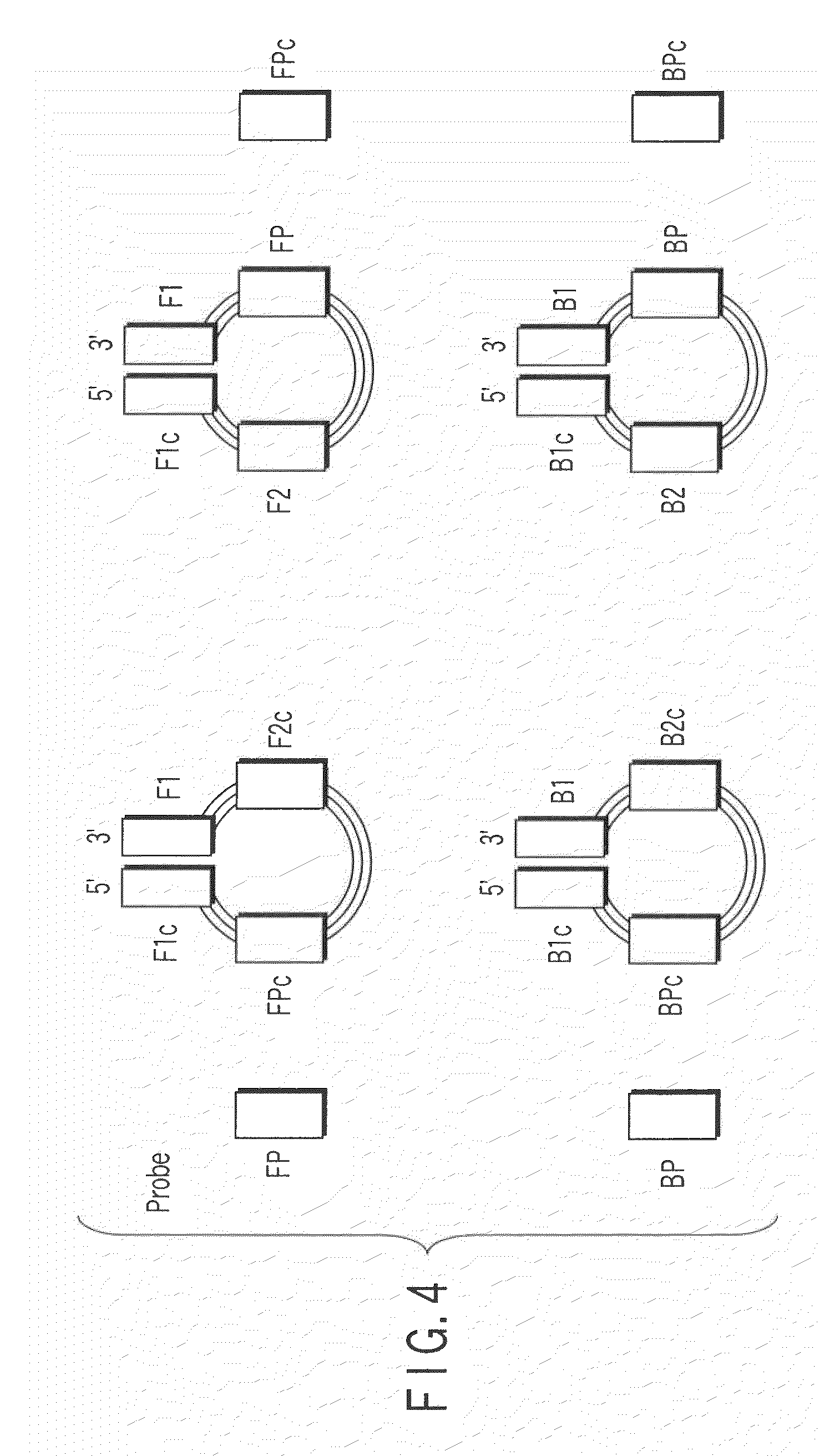 Method of detecting human papilloma virus by using nucleic acid amplification method and nucleic acid chain-immobilized carrier