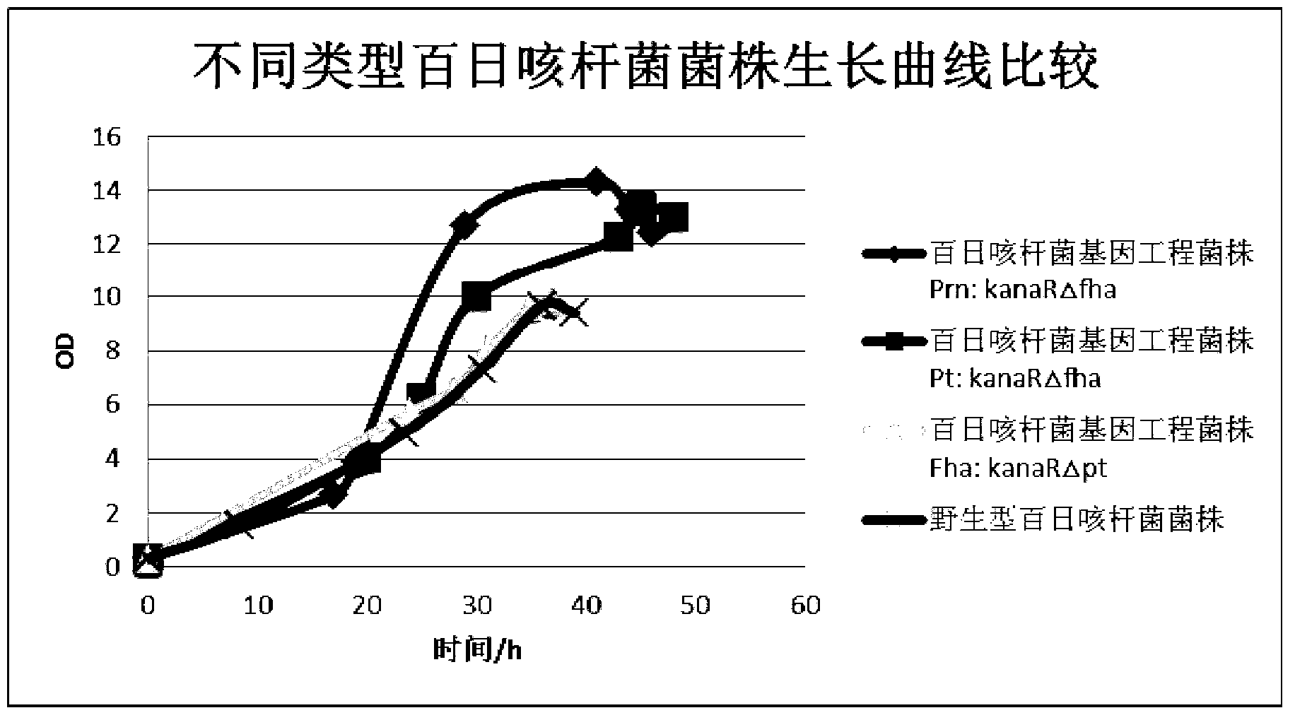 Production method of acellular pertussis vaccine