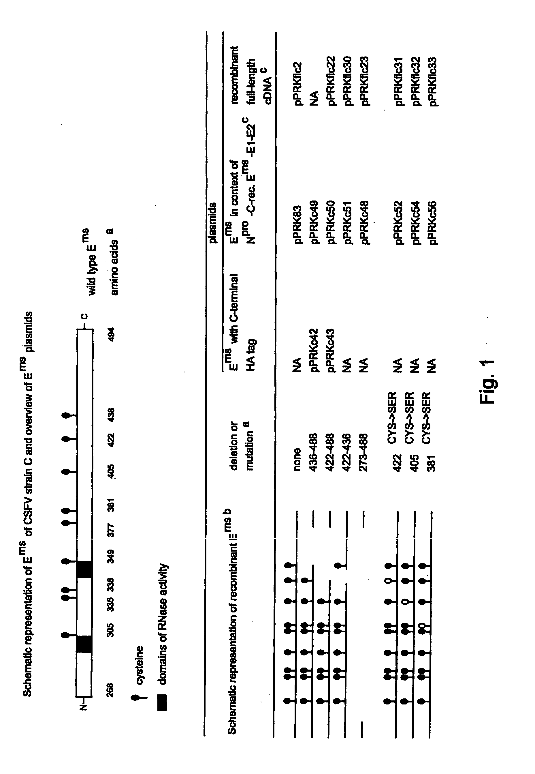 Non-spreading pestivirus