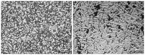 Environment-friendly high-conductivity elastic corrosion resistant copper alloy and production method of strip thereof