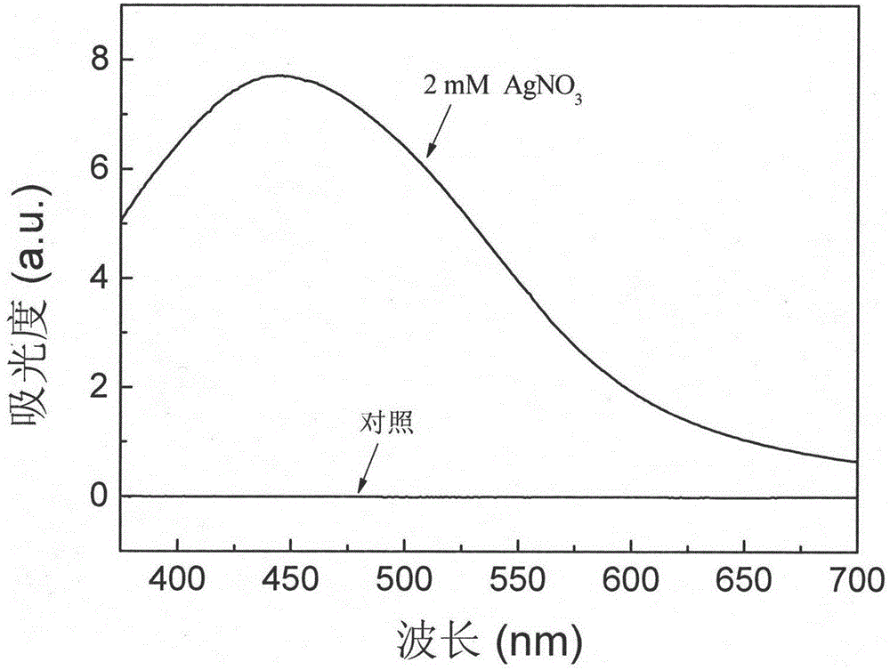 Method for biosynthesizing nano-silver through photoinduction of imperata leaf extract