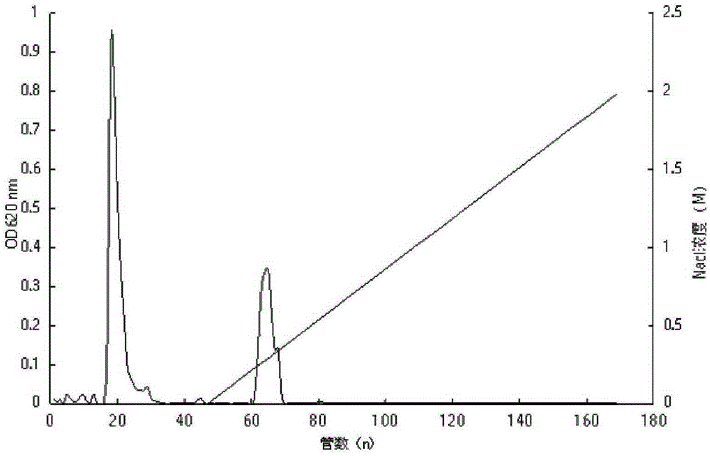 A kind of antioxidative polysaccharide extracted from Cyanosporium cyanophilus and preparation method thereof