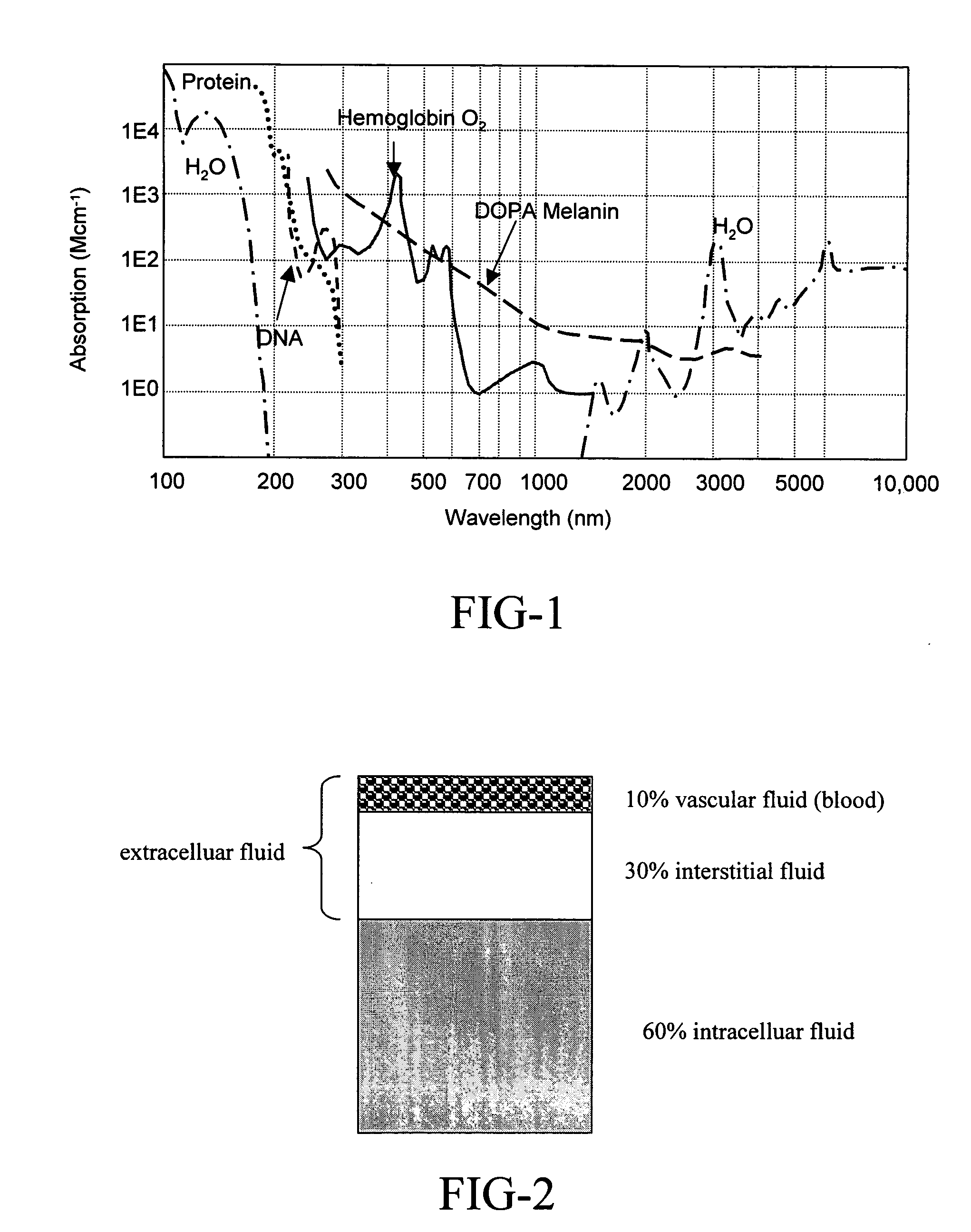 Anti-stokes raman in vivo probe of analyte concentrations through the human nail