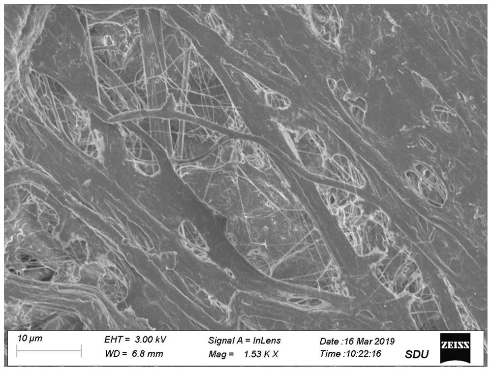 A kind of polysaccharide-modified acellular matrix composite material, preparation and application