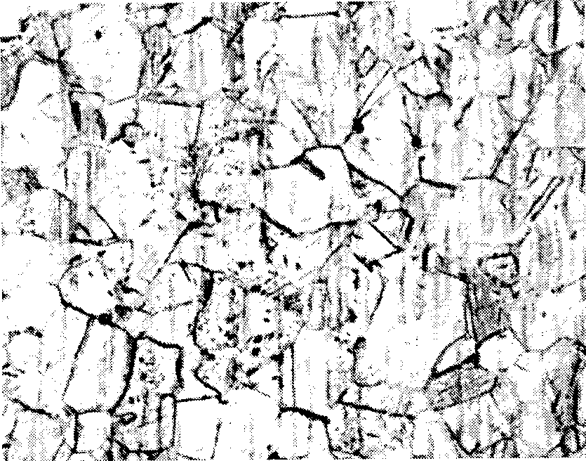 Process for producing twin crystal inducement plastic steel material with high carbon content