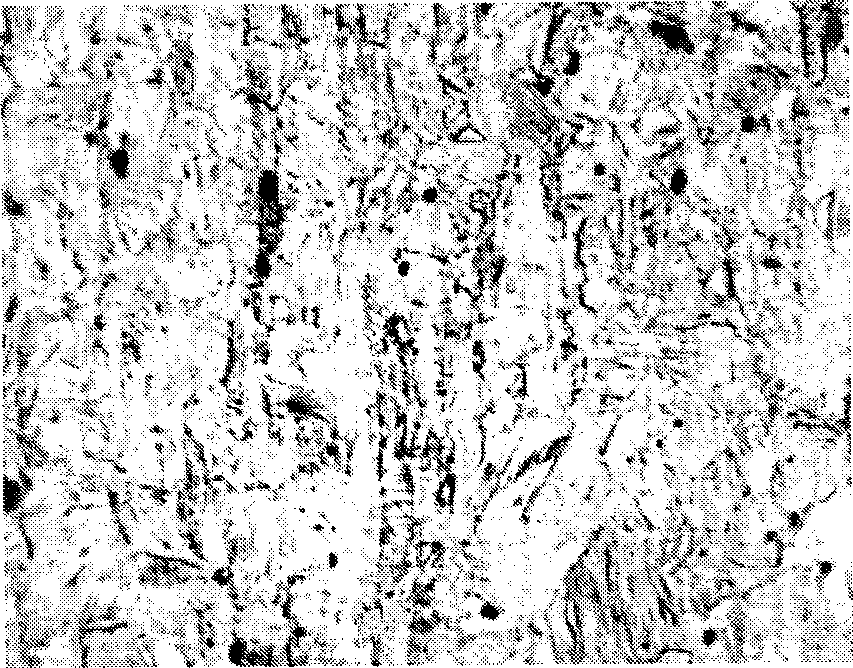 Process for producing twin crystal inducement plastic steel material with high carbon content