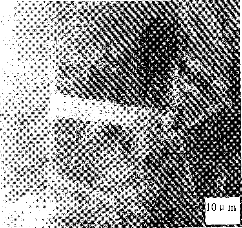 Process for producing twin crystal inducement plastic steel material with high carbon content