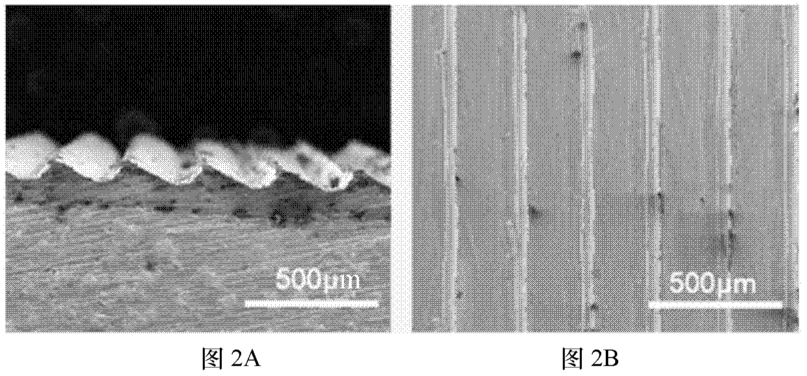 Preparation method of ice coating prevention surface of bionic micro-nano composite structure