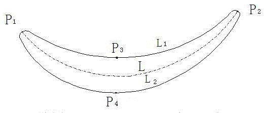 Scan path programming method obtained by leaf dense point cloud on basis of laser ranging