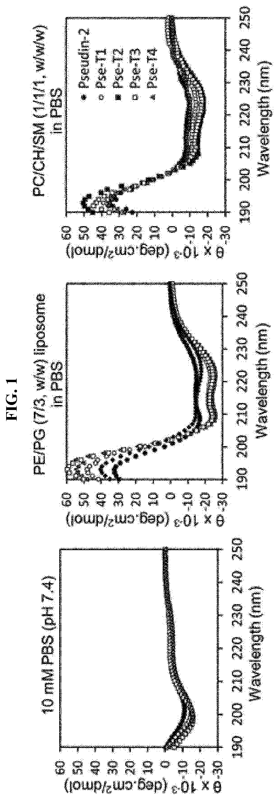 Novel antimicrobial peptide derived from pseudin-2 peptide and uses thereof