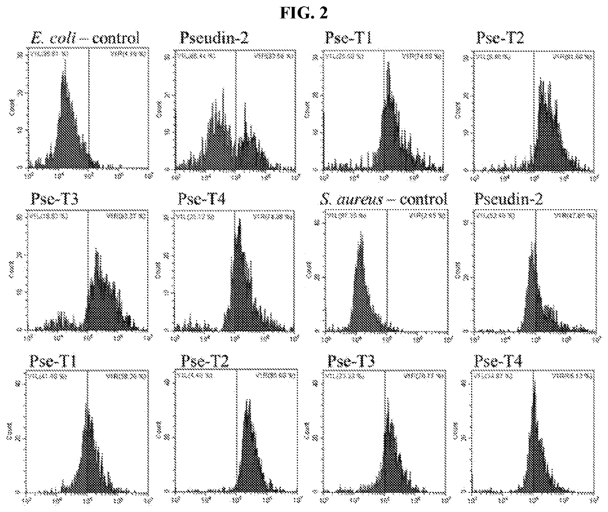 Novel antimicrobial peptide derived from pseudin-2 peptide and uses thereof