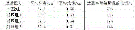 Carya illinoinensis Koch seedling raising substrate, preparation method and application thereof