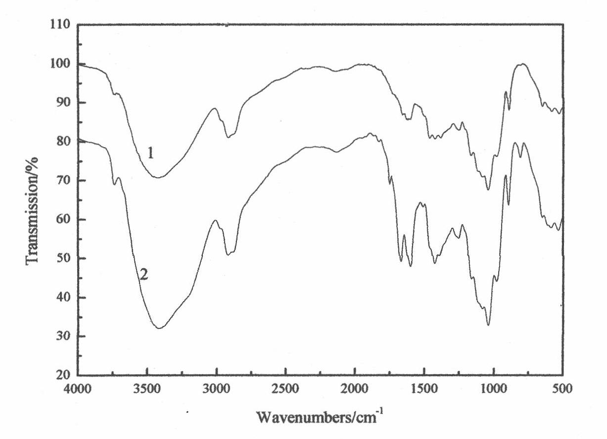 Method for preparing grafted bagasse xylan copolymer