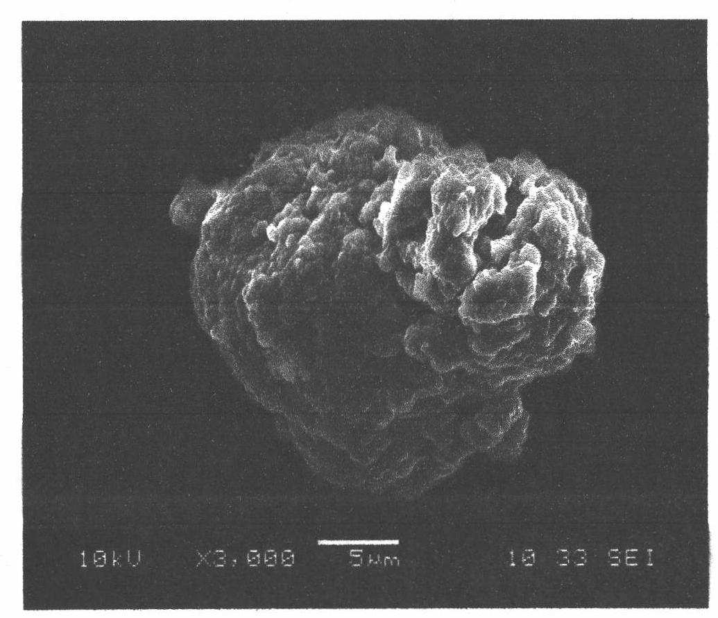 Method for preparing grafted bagasse xylan copolymer