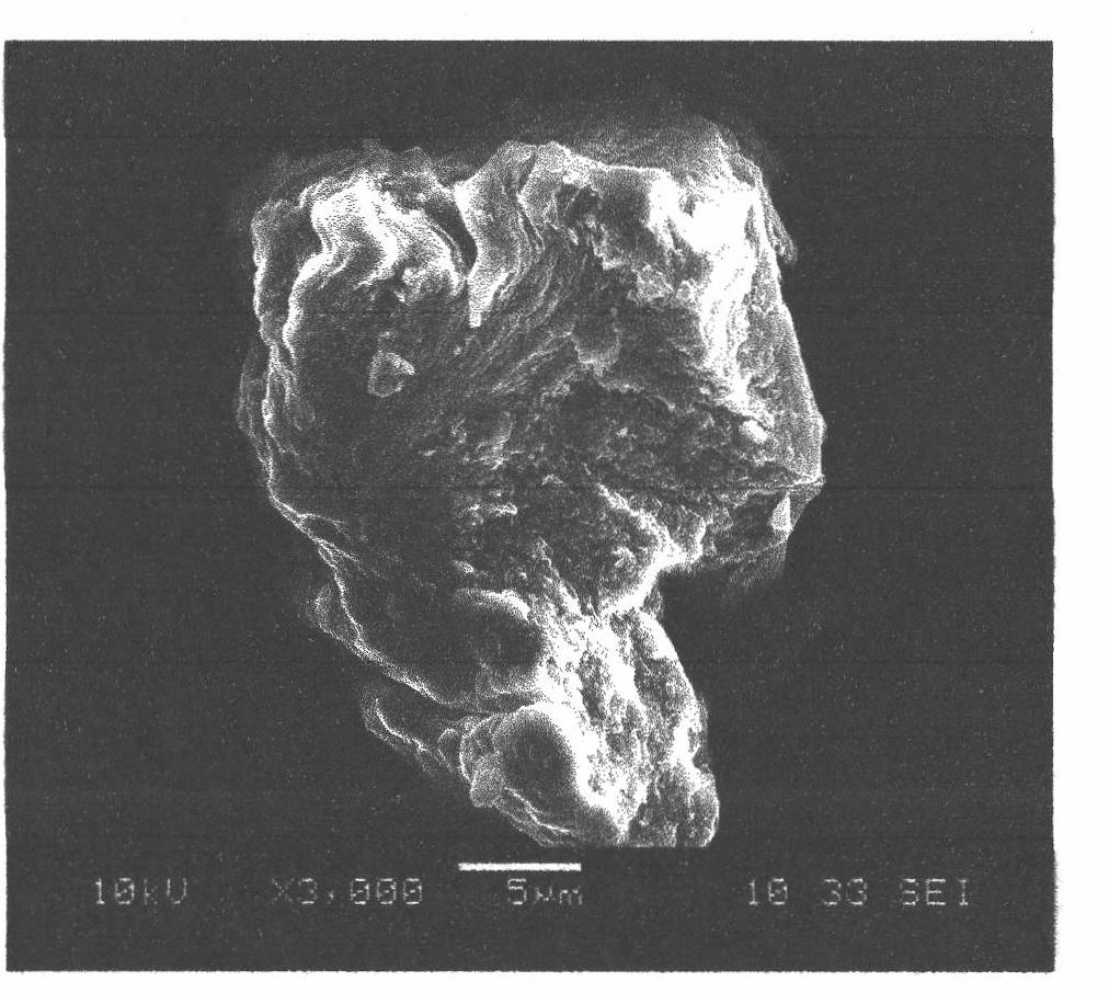 Method for preparing grafted bagasse xylan copolymer