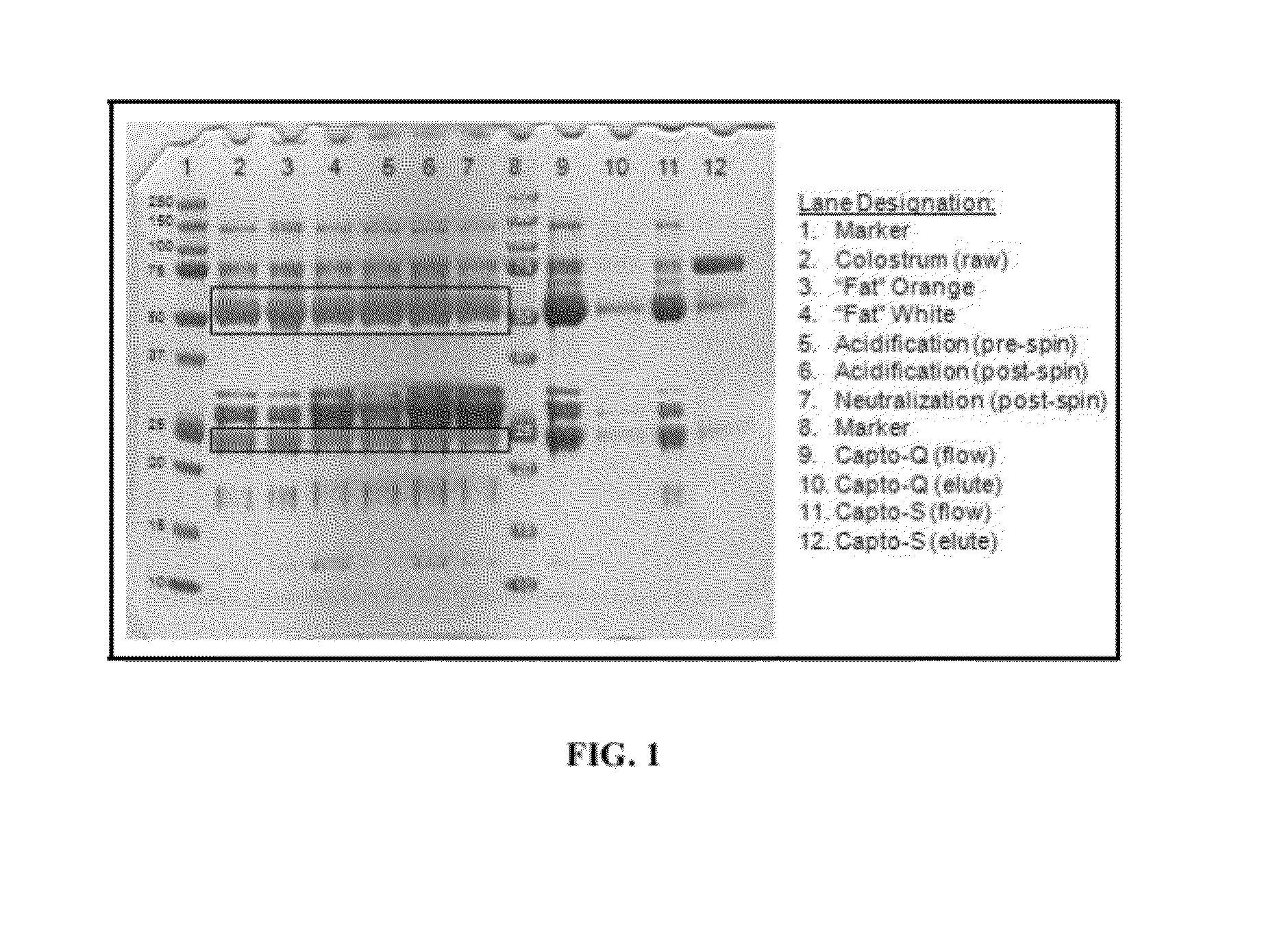 Polyclonal antibody compositions