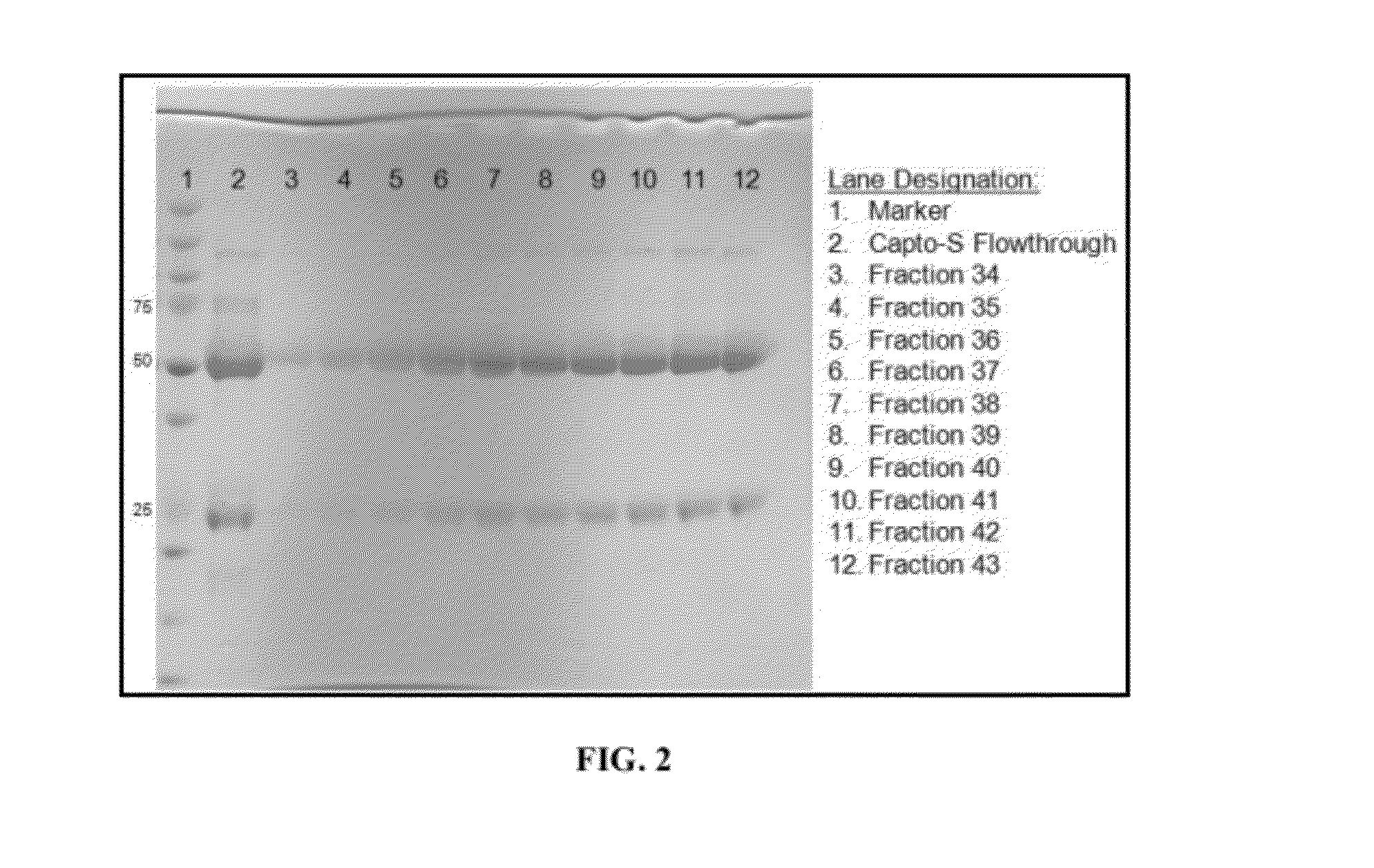 Polyclonal antibody compositions