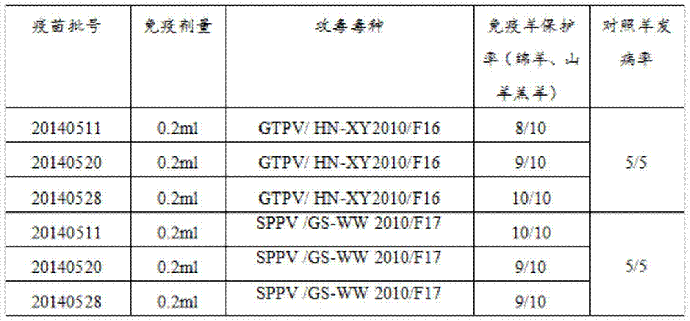 A kind of goat pox, sheep pox bivalent cellular attenuated vaccine and its preparation method and application