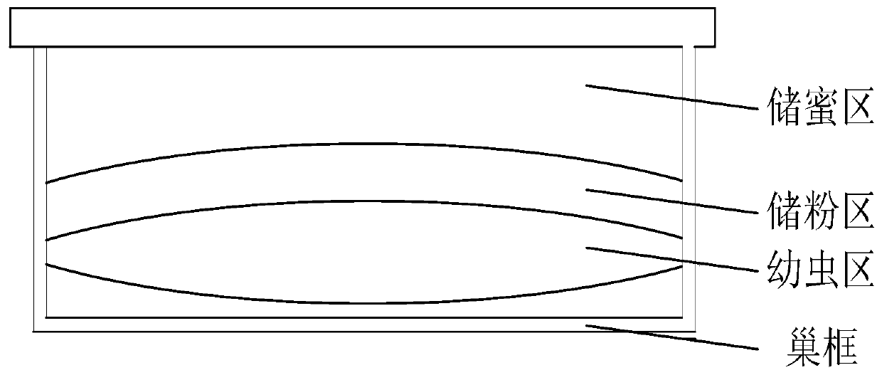 Underground artificial beehive based on multilayered structure and multilayered circular uncapping bee-keeping method