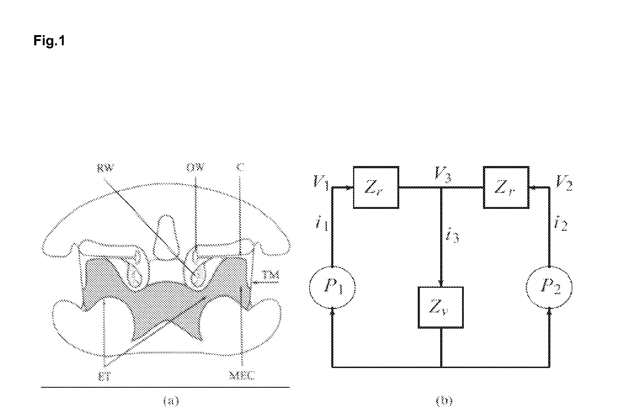 Sound localizing robot