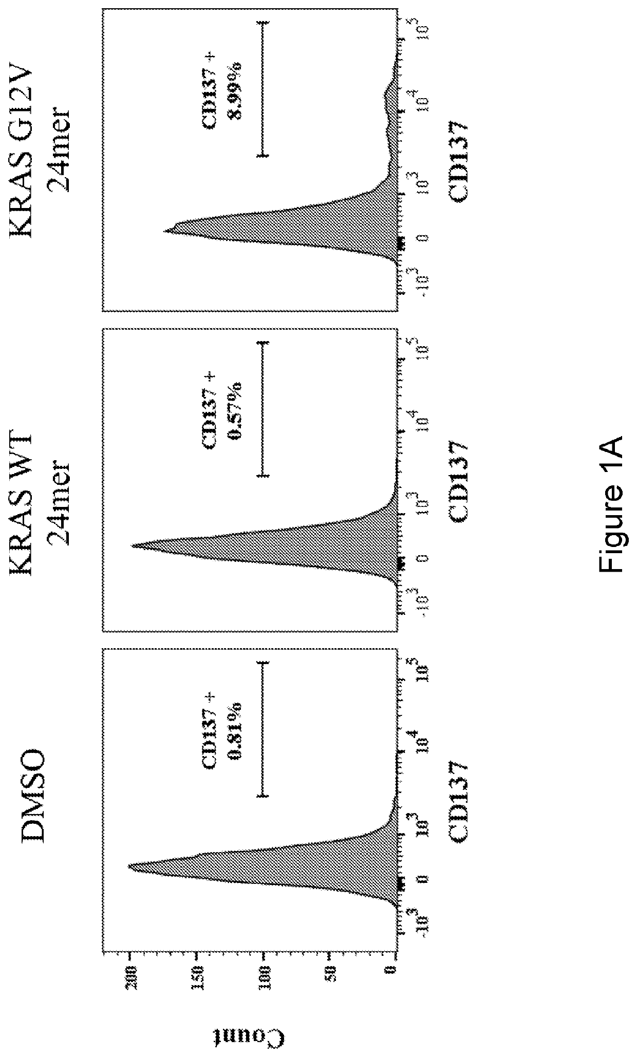 HLA class I-restricted t cell receptors against mutated RAS