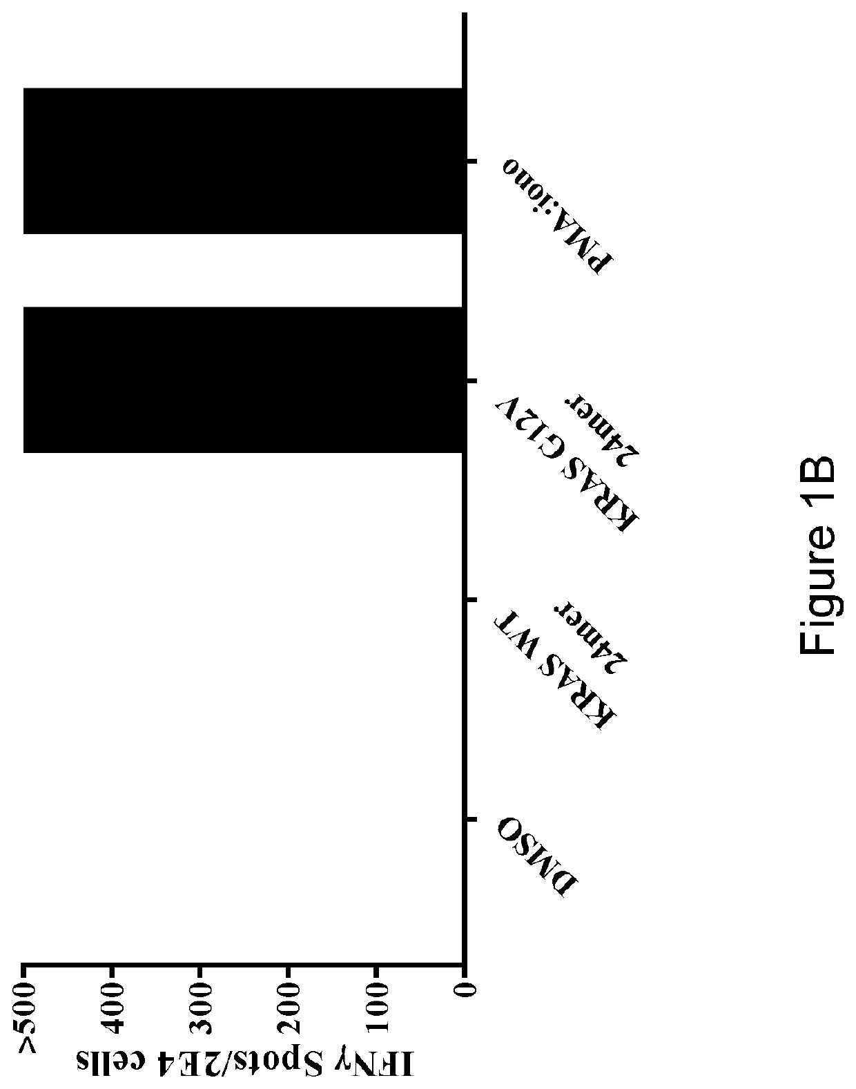 HLA class I-restricted t cell receptors against mutated RAS