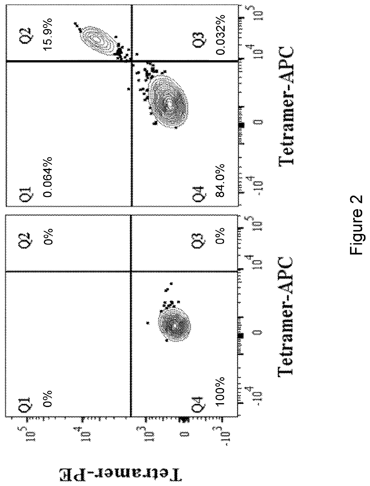 HLA class I-restricted t cell receptors against mutated RAS