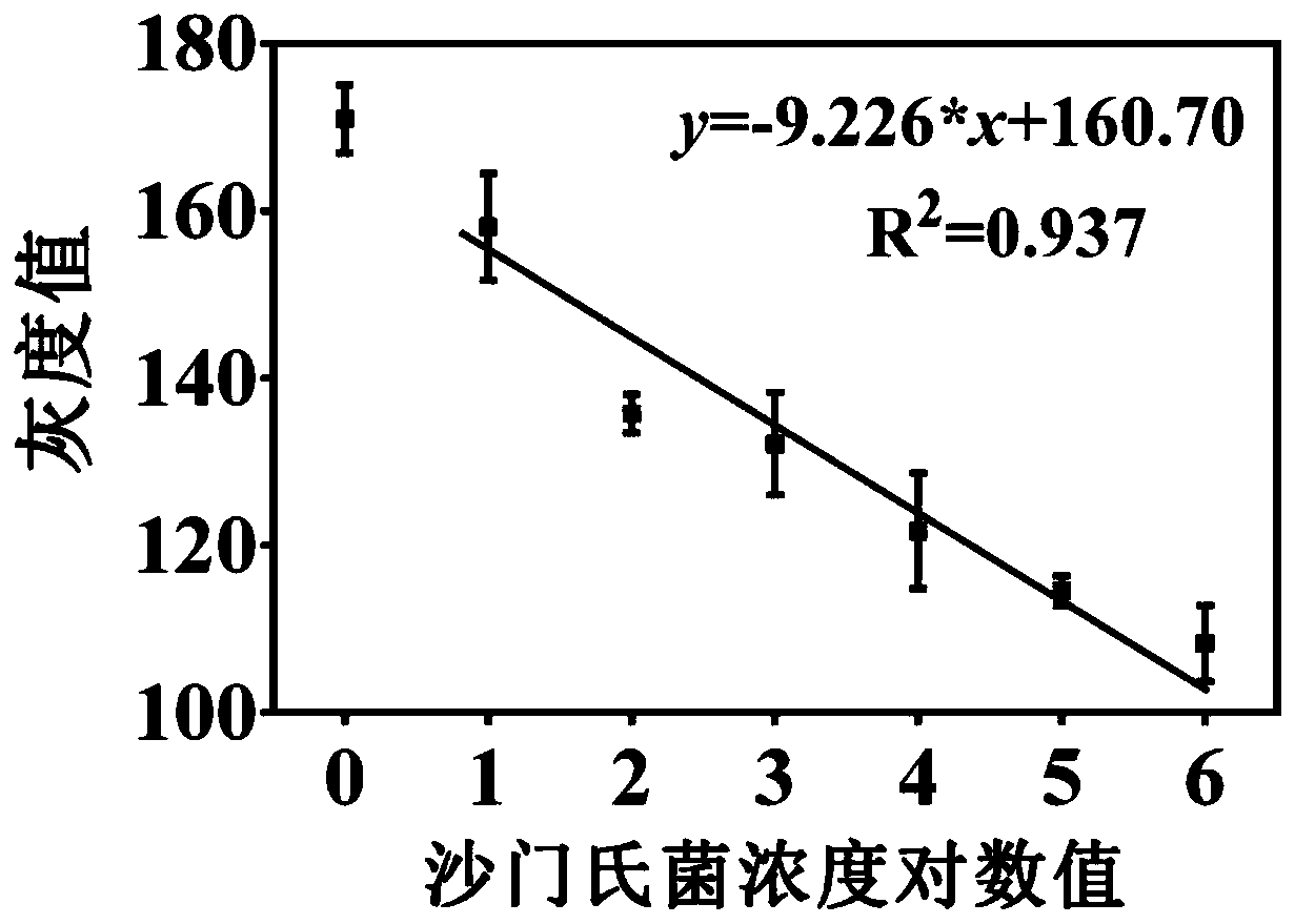 Kit for detecting salmonella typhimurium and preparation method thereof