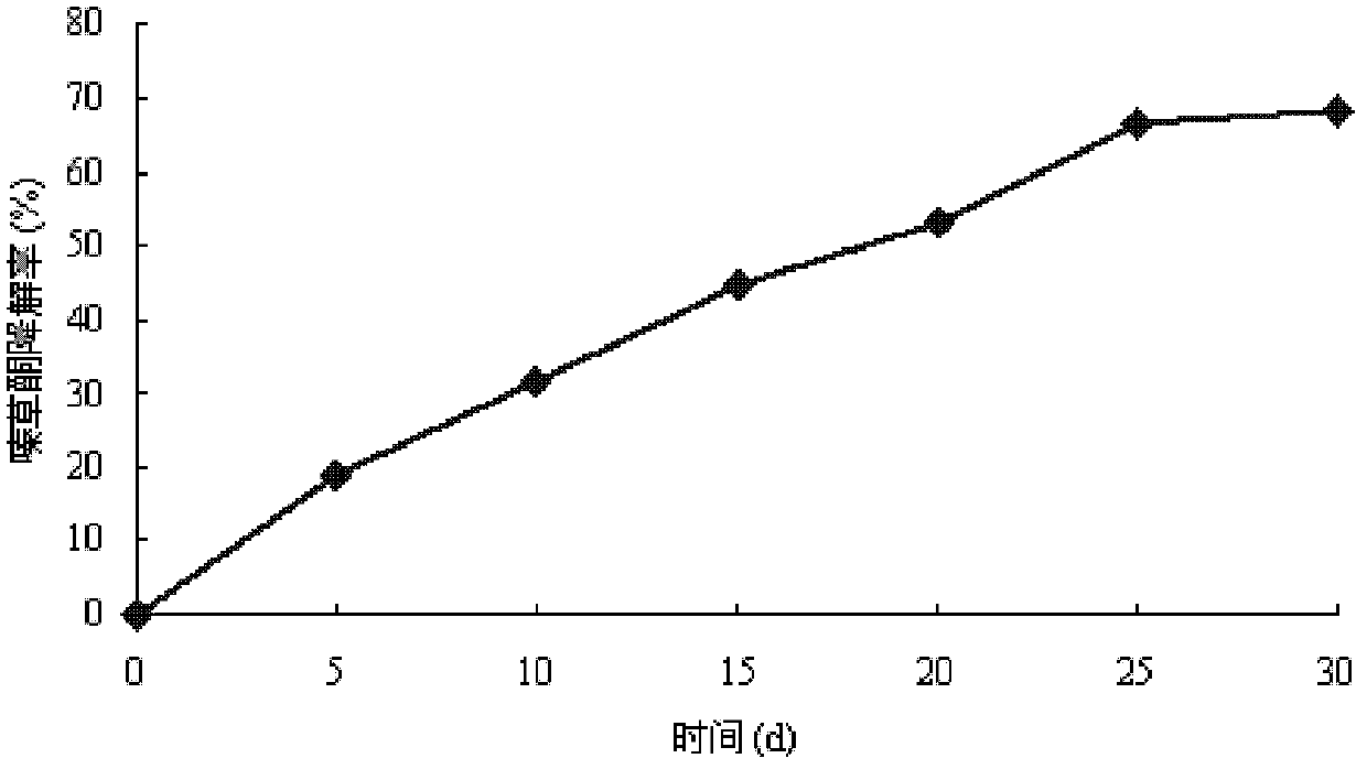 Metribuzin-degrading bacteria and soil bioremediation microorganism based on metribuzin-degrading bacteria and application