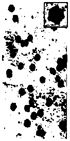 Nanocarrier and preparation method for co-delivery of drugs and genes based on oligonucleotides