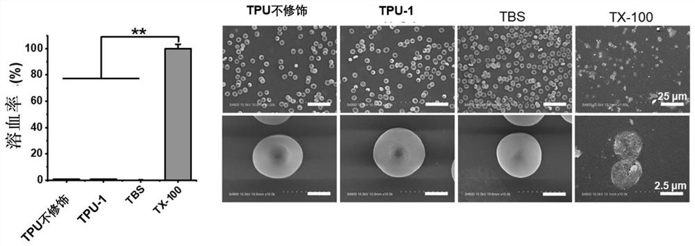 Method for improving antibacterial activity and biocompatibility of surface of base material