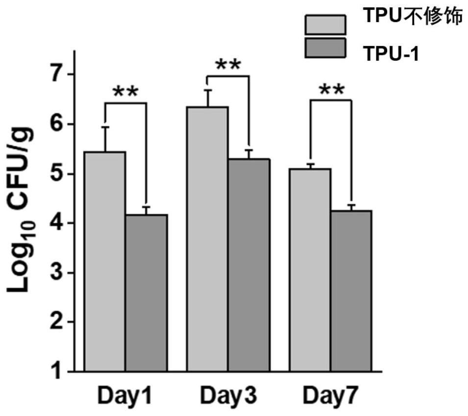 Method for improving antibacterial activity and biocompatibility of surface of base material