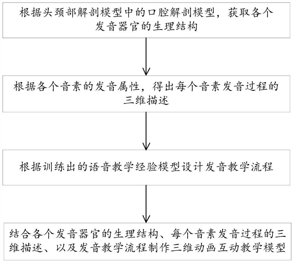 Construction method of dynamic pronunciation teaching model based on 3D modeling and oral anatomy