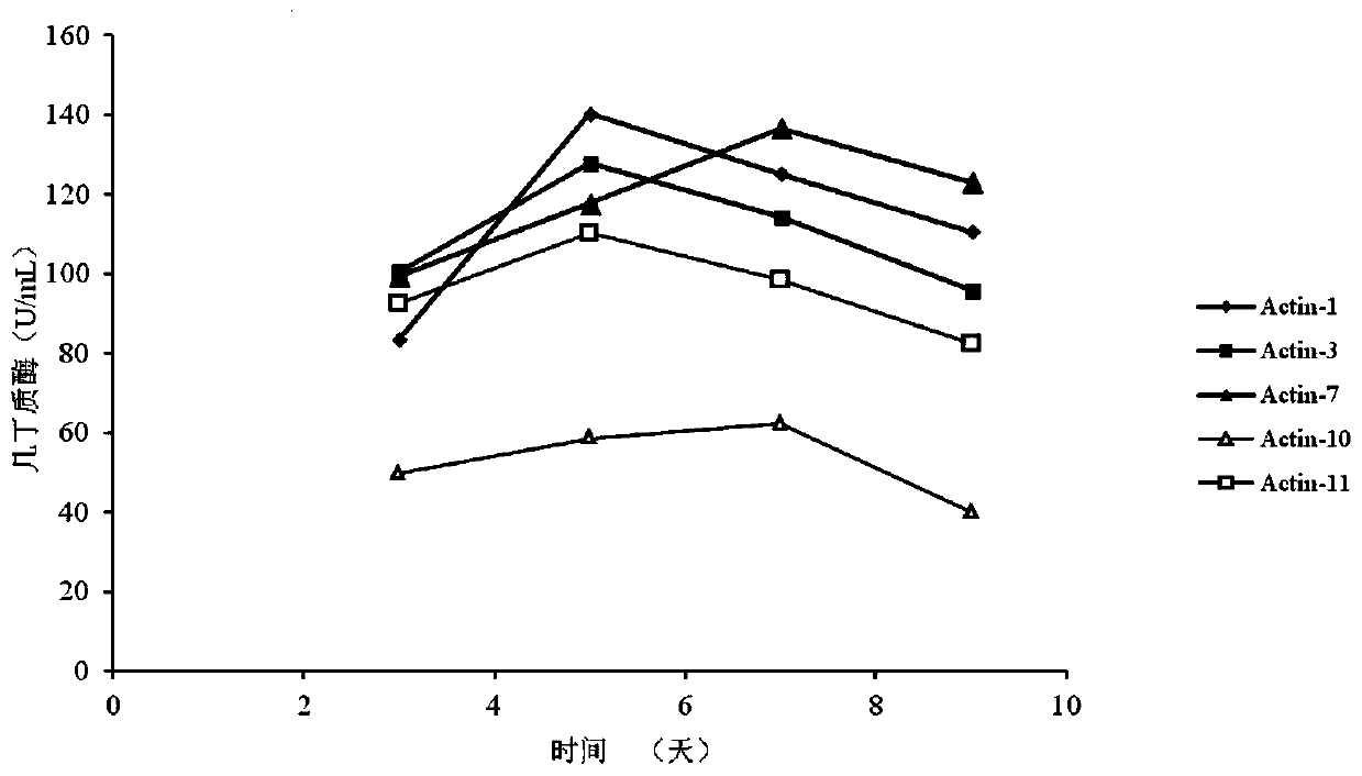 A strain of Streptomyces albicans and its application in the control of apple tree rot