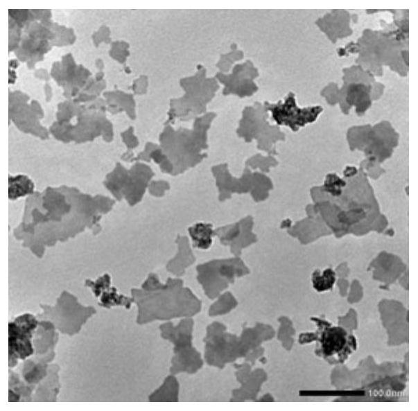 A kind of sensitizer for radiotherapy and its preparation method and application