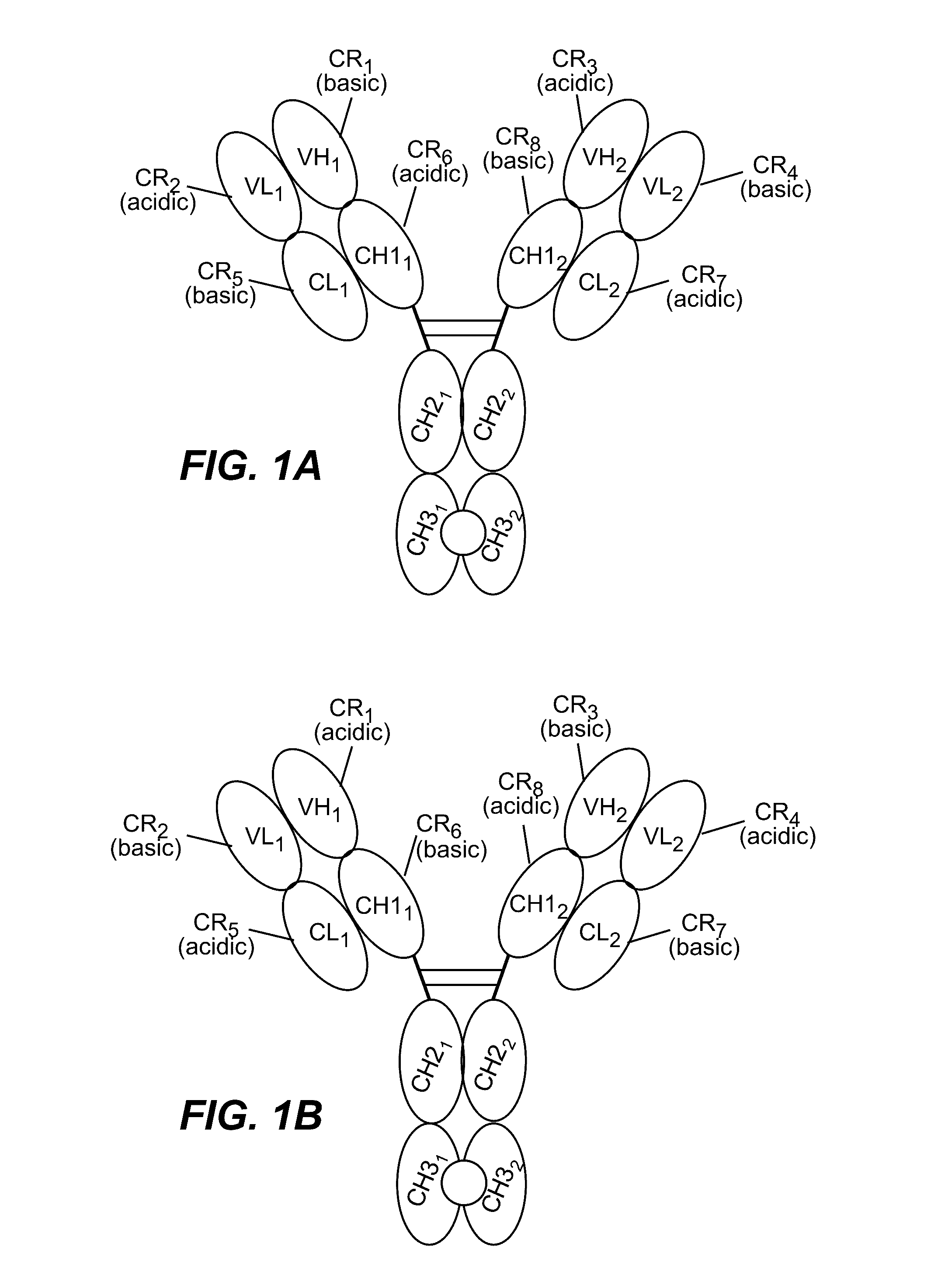 HUMANIZED AND AFFINITY MATURED ANTIBODIES TO FcRH5 AND METHODS OF USE