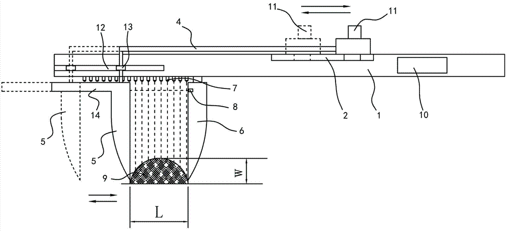 Tool for rapidly measuring subcutaneous tumor size of mice