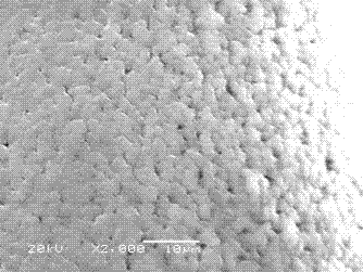 Method for preparing lithium battery polymer electrolyte having high conductivity