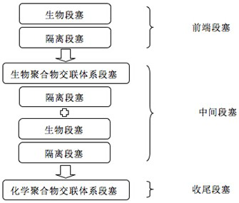 Biological self-repair depth profile control slug combination and its application method