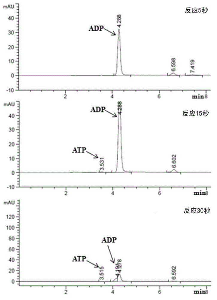 Method for distinguishing transport function of protein employing non-radioactivity