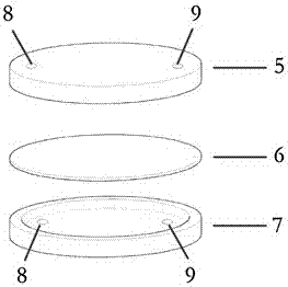 Double chamber liquid photochromic glasses